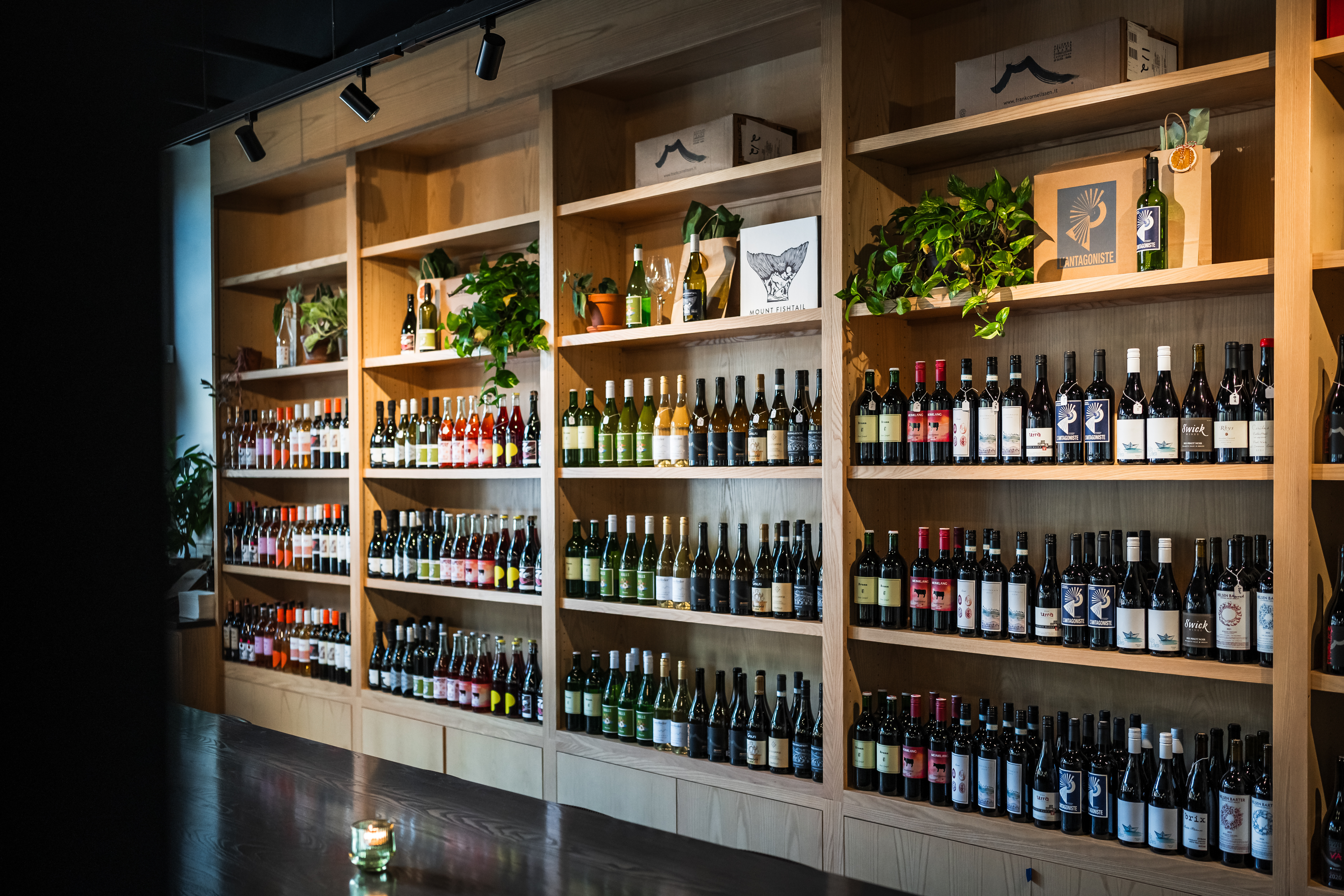 Bar Torino wine collection